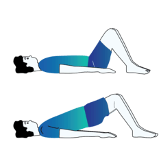 Glute Sets exercise illustration