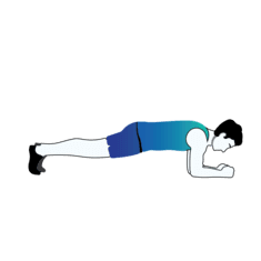 Front Plank exercise illustration