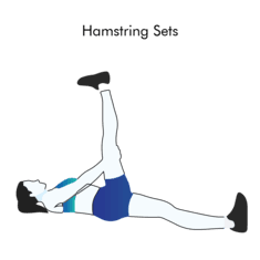 Hamstring Sets exercise illustration