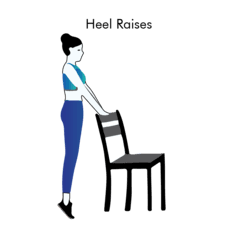 Heel Raises exercise illustration