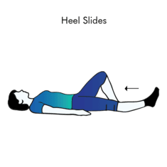 Heel Slides exercise illustration