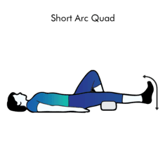 Short Arc Quad exercise illustration