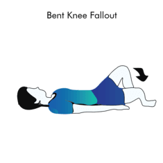 Bent Knee Fallout exercise illustration