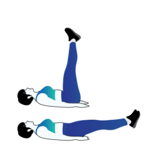 Straight Leg Raise exercise illustration