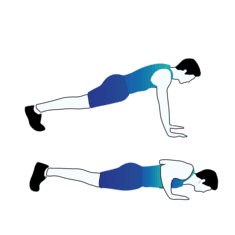 Push Ups exercise illustration