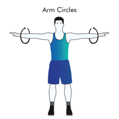 Arm Circles exercise illustration