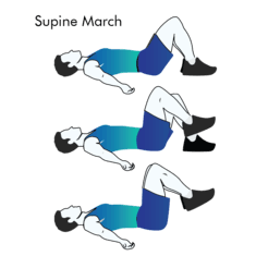 Supine March exercise illustration