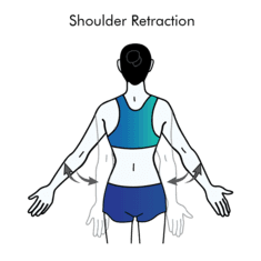 Shoulder Retraction exercise illustration